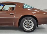 1979 Pontiac Trans Am